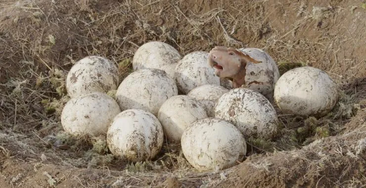 Прогулки с динозаврами 3D (2013) скачать торрент файл Прогулки с динозаврами 3D (2013) фильм скачать торрент файл