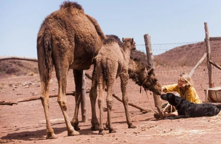 Тропы (2013) в хорошем качестве скачать торрент файл Тропы (2013) фильм в хорошем качестве скачать торрент файл