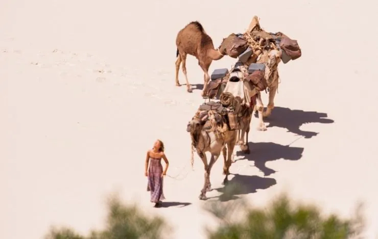 Тропы (2013) скачать торрент файл Тропы (2013) фильм скачать торрент файл