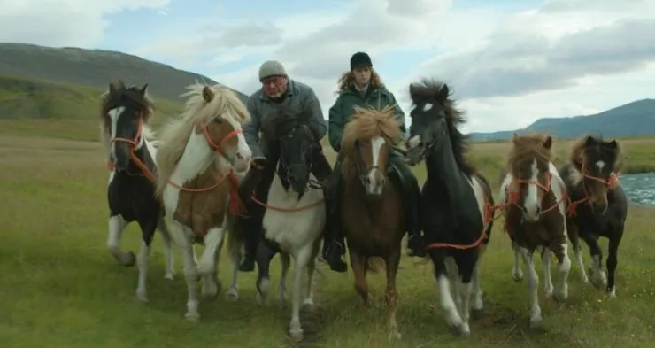 О лошадях и людях (2013) скачать торрент файл О лошадях и людях (2013) фильм скачать торрент файл