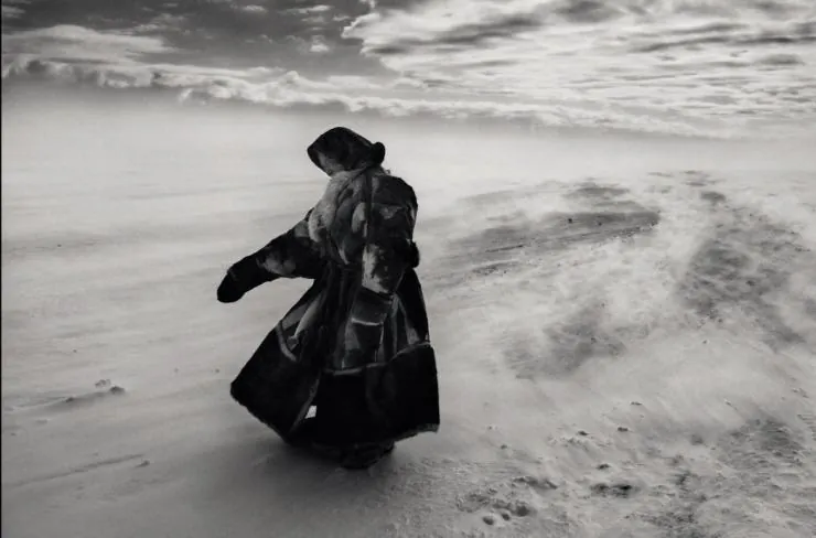 Соль Земли (2014) в хорошем качестве скачать торрент файл Соль Земли (2014) фильм в хорошем качестве скачать торрент файл