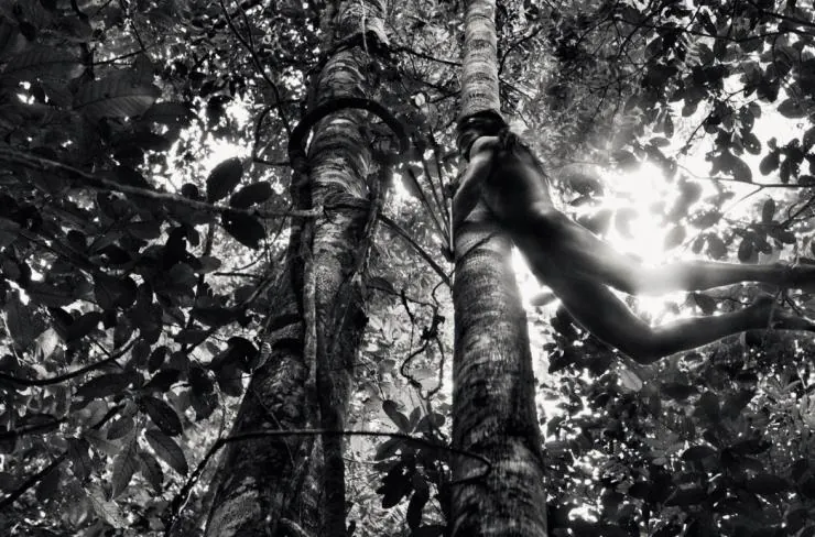 Соль Земли (2014) скачать торрент бесплатно Соль Земли (2014) фильм скачать торрент бесплатно