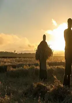 Песнь заката (2015) скачать торрент файл Песнь заката (2015) фильм скачать торрент файл