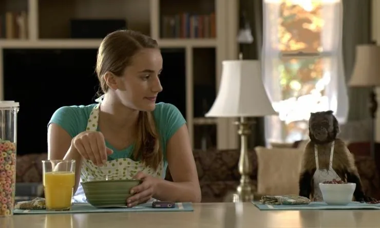 Гибби (2015) в хорошем качестве скачать торрент файл Гибби (2015) фильм в хорошем качестве скачать торрент файл