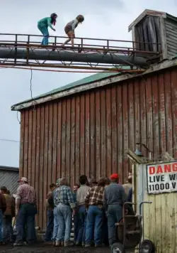 Пит и его дракон (2016) в хорошем качестве скачать торрент файл Пит и его дракон (2016) фильм в хорошем качестве скачать торрент файл