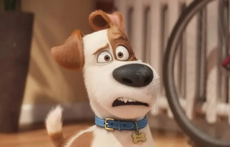 Тайная жизнь домашних животных (2016) скачать торрент бесплатно Тайная жизнь домашних животных (2016) мультфильм скачать торрент бесплатно