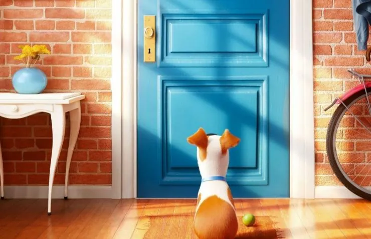 Тайная жизнь домашних животных (2016) скачать торрент файл Тайная жизнь домашних животных (2016) мультфильм скачать торрент файл