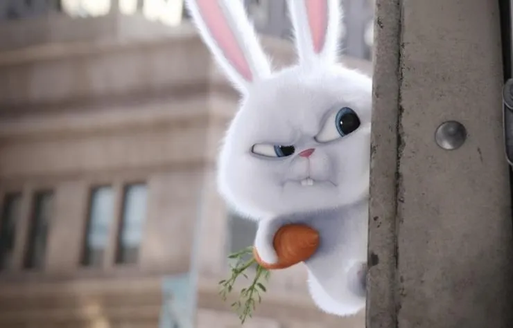 Тайная жизнь домашних животных (2016) в хорошем качестве скачать торрент файл Тайная жизнь домашних животных (2016) мультфильм в хорошем качестве скачать торрент файл