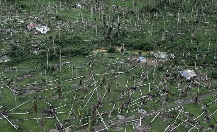 Ураган: Одиссея ветра (2015) скачать торрент файл Ураган: Одиссея ветра (2015) фильм скачать торрент файл