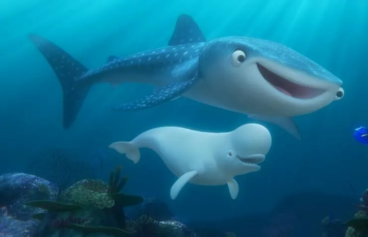 В поисках Дори (2016) скачать торрент бесплатно В поисках Дори (2016) мультфильм скачать торрент бесплатно