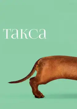 Такса / Wiener-Dog (2015) фильм скачать через торрет бесплатно в хорошем качестве