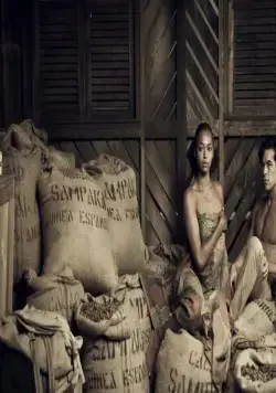 Пальмы в снегу (2015) скачать торрент файл Пальмы в снегу (2015) фильм скачать торрент файл