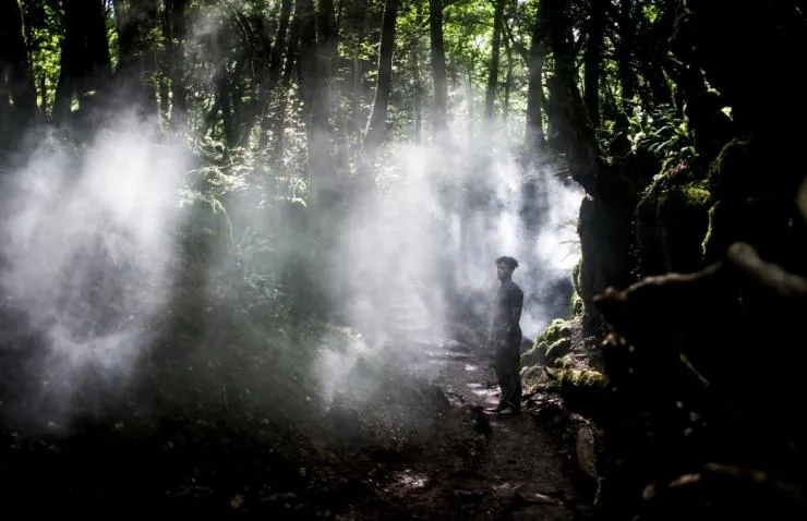 Не стучи дважды (2016) в хорошем качестве скачать торрент файл Не стучи дважды (2016) фильм в хорошем качестве скачать торрент файл