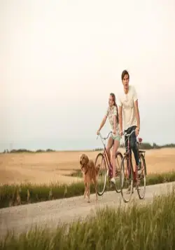 Собачья жизнь (2017) в хорошем качестве скачать торрент файл Собачья жизнь (2017) фильм в хорошем качестве скачать торрент файл