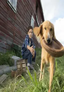 Собачья жизнь (2017) скачать торрент файл Собачья жизнь (2017) фильм скачать торрент файл