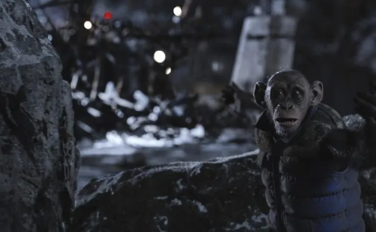 Планета обезьян: Война (2017) скачать торрент бесплатно Планета обезьян: Война (2017) фильм скачать торрент бесплатно