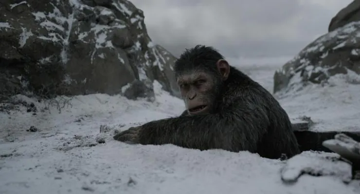 Планета обезьян: Война (2017) в хорошем качестве скачать торрент файл Планета обезьян: Война (2017) фильм в хорошем качестве скачать торрент файл