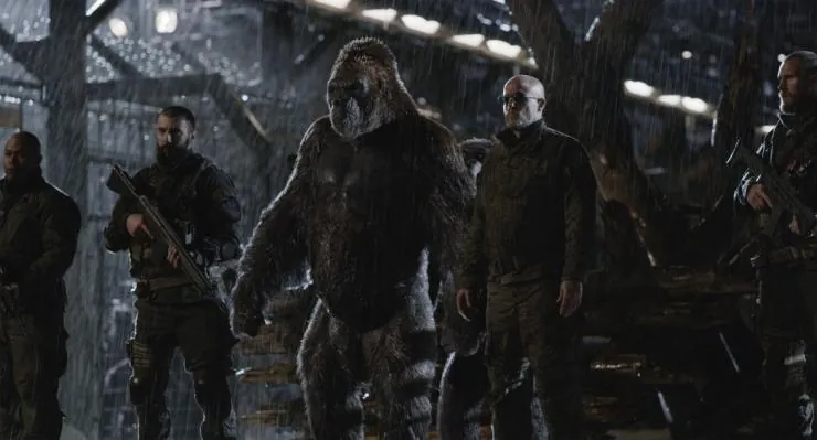 Планета обезьян: Война (2017) скачать торрент файл Планета обезьян: Война (2017) фильм скачать торрент файл