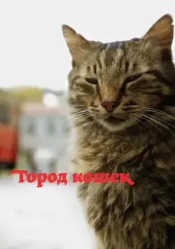 Город кошек / Kedi (2016) фильм скачать через торрет бесплатно в хорошем качестве