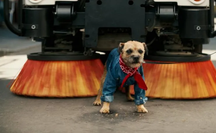 Женись на мне, чувак (2017) в хорошем качестве скачать торрент файл Женись на мне, чувак (2017) фильм в хорошем качестве скачать торрент файл