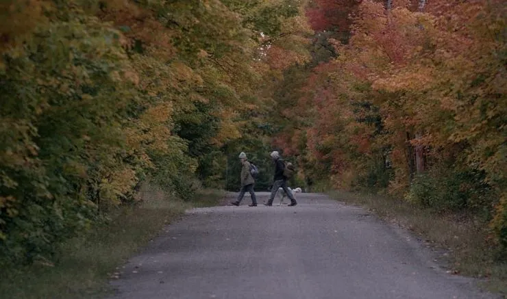 Жестокие мечты (2017) скачать торрент бесплатно Жестокие мечты (2017) фильм скачать торрент бесплатно