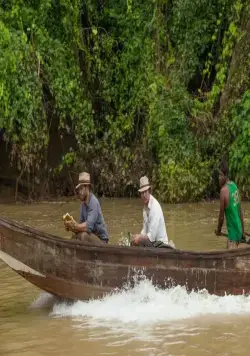 Золото (2016) в хорошем качестве скачать торрент файл Золото (2016) фильм в хорошем качестве скачать торрент файл