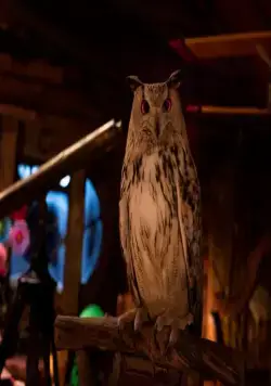 Санта и компания (2017) скачать торрент файл Санта и компания (2017) фильм скачать торрент файл