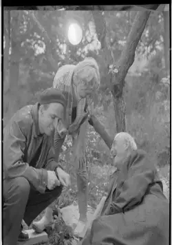 Бергман (2018) скачать торрент бесплатно Бергман (2018) фильм скачать торрент бесплатно