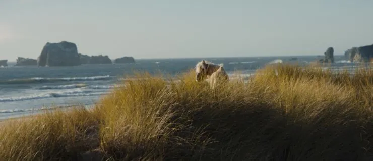 Девица (2018) скачать торрент файл Девица (2018) фильм скачать торрент файл