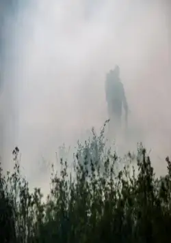 Голодные Z (2017) скачать торрент бесплатно Голодные Z (2017) фильм скачать торрент бесплатно