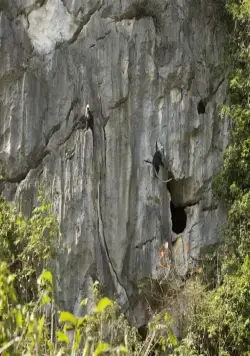 Земля: Один потрясающий день (2017) скачать торрент бесплатно Земля: Один потрясающий день (2017) фильм скачать торрент бесплатно