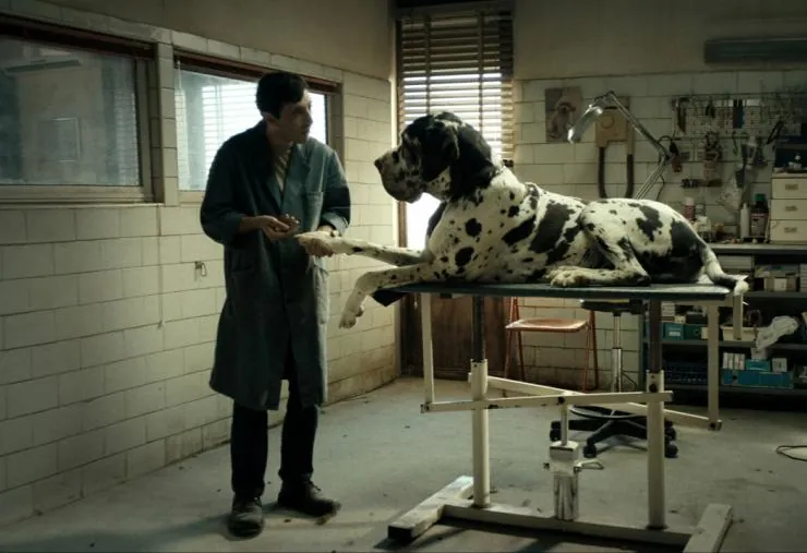 Догмэн (2018) скачать торрент бесплатно Догмэн (2018) фильм скачать торрент бесплатно