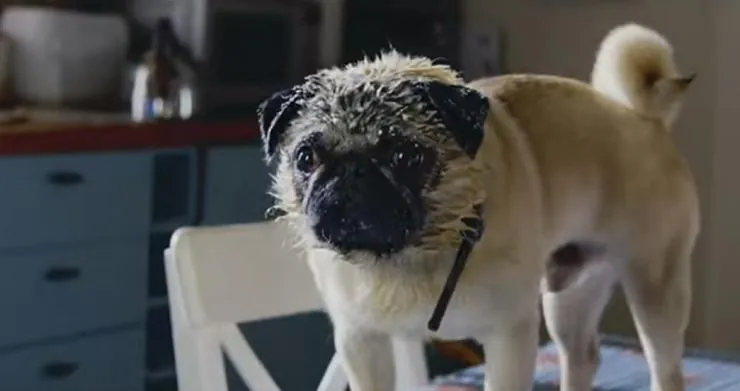 Патрик (2018) скачать торрент файл Патрик (2018) фильм скачать торрент файл