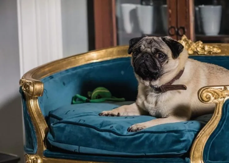 Патрик (2018) скачать торрент бесплатно Патрик (2018) фильм скачать торрент бесплатно