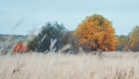 Сказки о маме (2018) скачать торрент бесплатно Сказки о маме (2018) фильм скачать торрент бесплатно