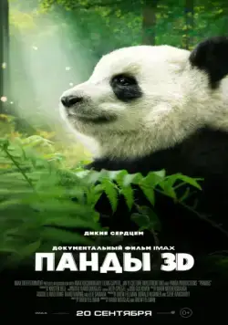 Панды 3D / Pandas (2018) фильм скачать через торрет бесплатно в хорошем качестве