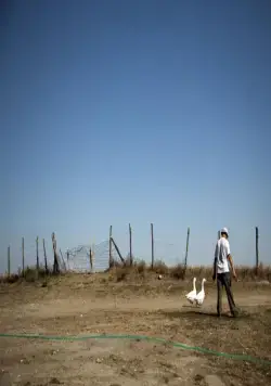 Чудеса (2014) скачать торрент бесплатно Чудеса (2014) фильм скачать торрент бесплатно