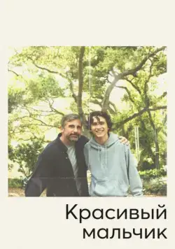 Красивый мальчик / Beautiful Boy (2018) фильм скачать через торрет бесплатно в хорошем качестве