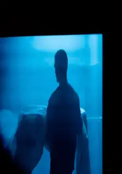 Высшее общество (2018) скачать торрент файл Высшее общество (2018) фильм скачать торрент файл