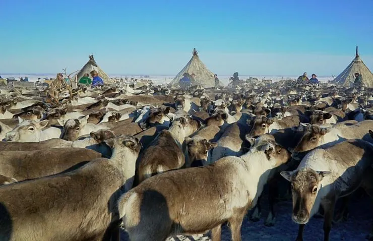 Великий северный путь (2019) 1-5 сезон 1-18,19,20 серия скачать торрент файл Великий северный путь (2019) фильм 1-18,19,20 серию 1-5 сезона скачать торрент файл