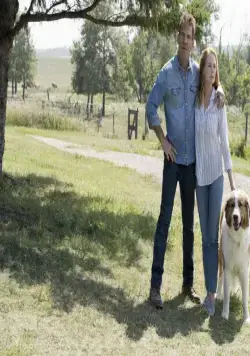 Собачья жизнь 2 (2019) в хорошем качестве скачать торрент файл Собачья жизнь 2 (2019) фильм в хорошем качестве скачать торрент файл