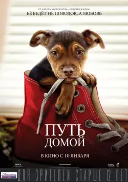 Путь домой / A Dog's Way Home (2019) фильм скачать через торрет бесплатно в хорошем качестве