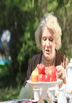 Моя любимая свекровь (2016) 1-3 сезон 1-1,2,3,4 серия скачать торрент файл Моя любимая свекровь (2016) сериал 1-1,2,3,4 серию 1-3 сезона скачать торрент файл