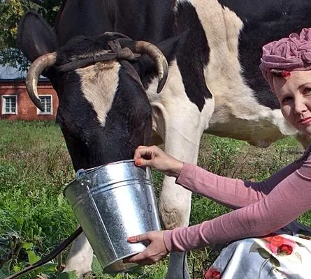 Чокнутая (2011) скачать торрент бесплатно Чокнутая (2011) сериал скачать торрент бесплатно