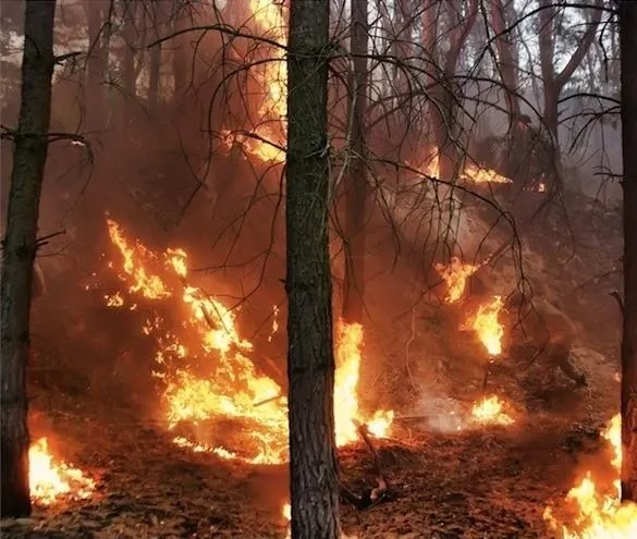 Дело было на Кубани (2011) 1 сезон 1-6,7,8 серия скачать торрент файл Дело было на Кубани (2011) сериал 1-6,7,8 серию 1 сезона скачать торрент файл