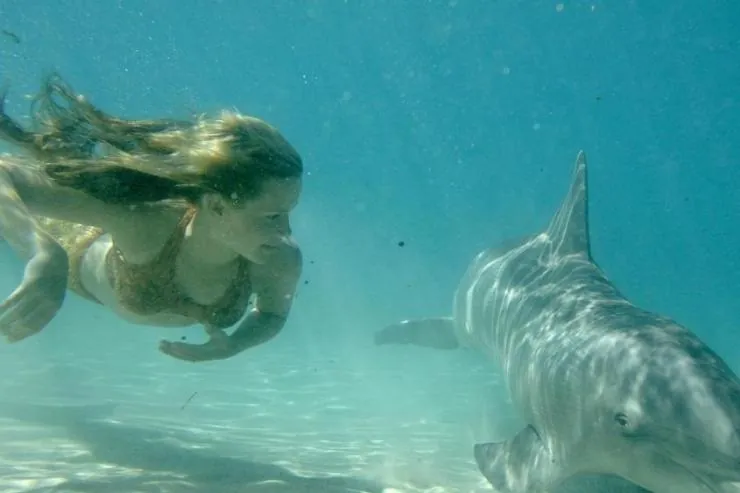 H2O: Просто добавь воды (2006) 1-3 сезон 1-24,25,26 серия в хорошем качестве скачать торрент файл H2O: Просто добавь воды (2006) сериал 1-24,25,26 серию 1-3 сезона в хорошем качестве скачать торрент файл