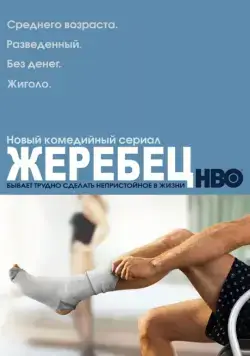 Жеребец / Hung (2009) cериал скачать через торрет бесплатно в хорошем качестве