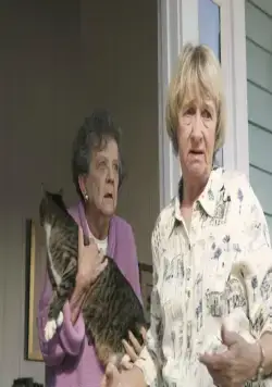 Отчаянные домохозяйки (2004) 1-8 сезон 1-21,22,23 серия скачать торрент файл Отчаянные домохозяйки (2004) сериал 1-21,22,23 серию 1-8 сезона скачать торрент файл