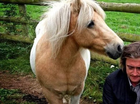 BBC: Невидимые миры (2010) скачать торрент файл BBC: Невидимые миры (2010) сериал скачать торрент файл