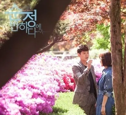 Влюбиться в Сун-джон (2015) 1 сезон 1-14,15,16 серия в хорошем качестве скачать торрент файл Влюбиться в Сун-джон (2015) сериал 1-14,15,16 серию 1 сезона в хорошем качестве скачать торрент файл